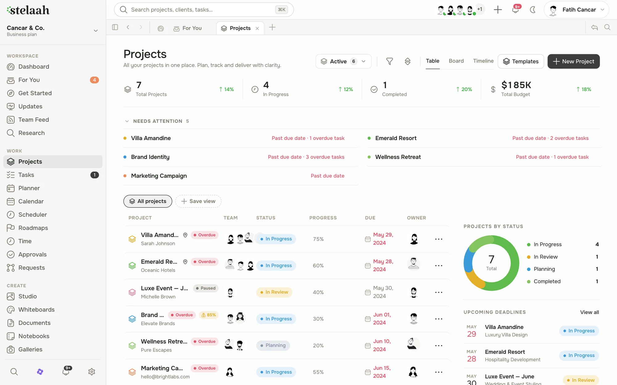 The Projects workspace: portfolio metrics, a needs-attention list, and every project with status, progress, and owner